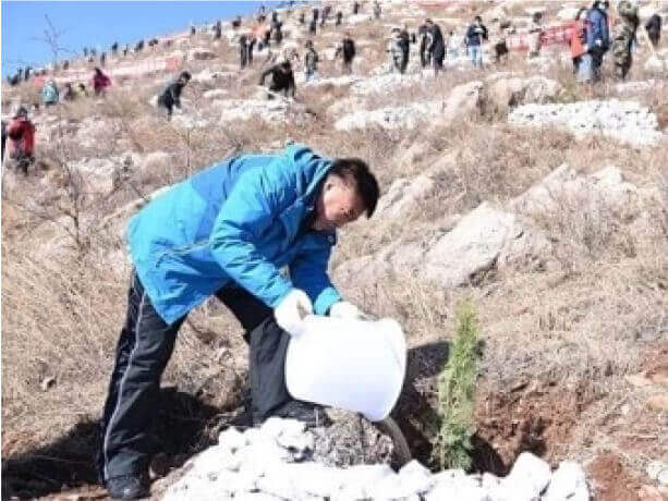 植樹を行う様子